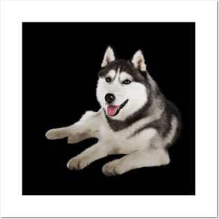 Husky with Blue Eyes, love Huskies, Dog Lover Posters and Art